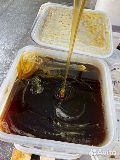 Мед таежный