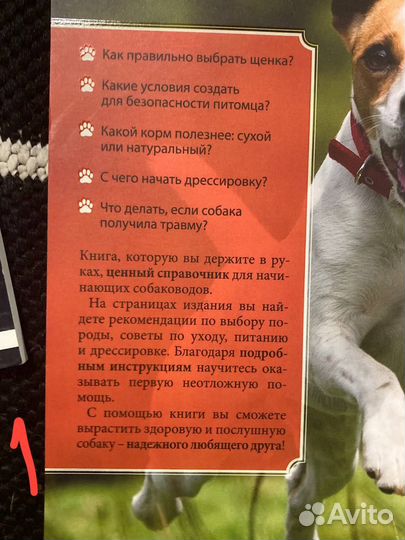 Книги про собак