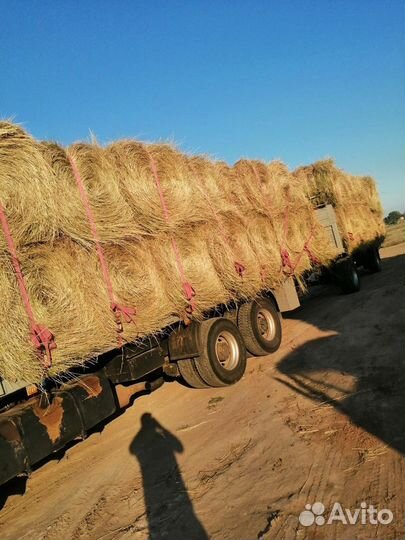 Сено в рулонах 2023года