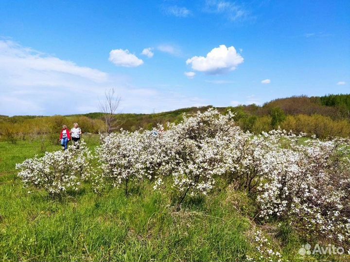 Конные прогулки. Походы. Активные выходные