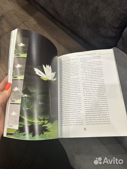 Книга Ошо Дао история и учения