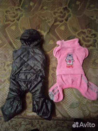 Одежда для маленьких собак