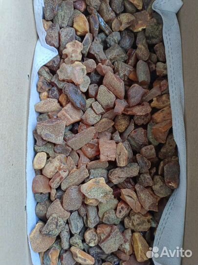 Янтарь натуральный балтийский