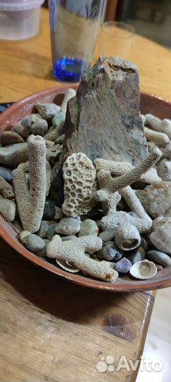 Декор (кораллы) для морского аквариума