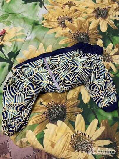 Одежда для собак