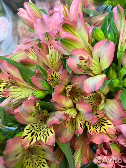 Букет из альстромерий, доставка цветов