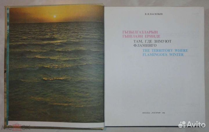 Вышлю Васильев Там где зимуют фламинго Ашхабад 86