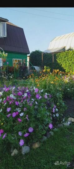 Дача 50 м² на участке 6 сот.