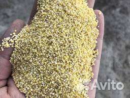 Просо, Пшено 2 сорт
