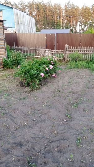 Участок 5 сот. (СНТ, ДНП)