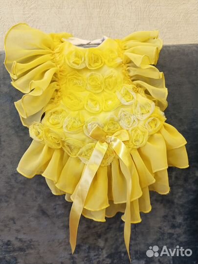 Одежда для небольшой собачки пакетом, йорк, шпиц