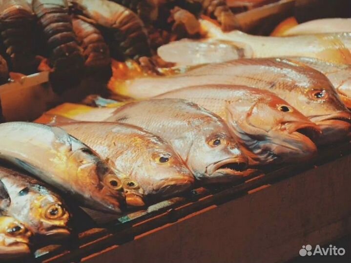 Рыбная франшиза — готовый прибыльный бизнес