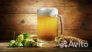 Требуется продавец разливного пива