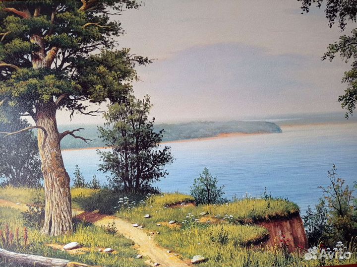 Картина Дорада 50х100