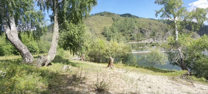 Участок 2,5 га (СНТ, ДНП)