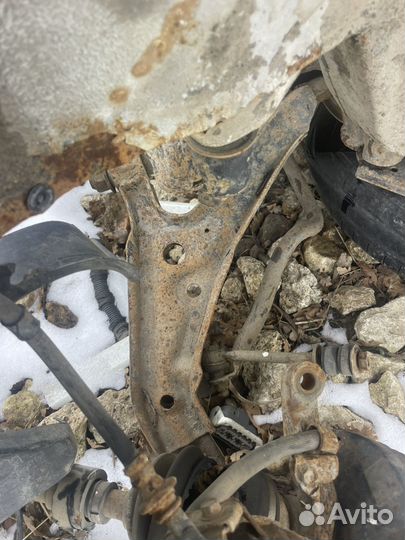 Передний рычаг левый правый Primera P11 Рест