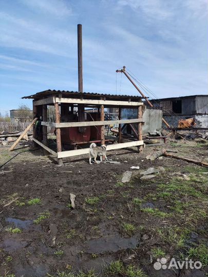 Масло Пихтовое