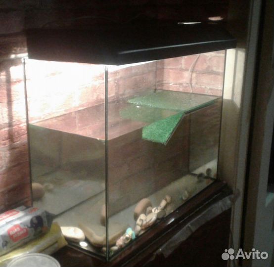Аквариум- террариум для красноухой черепахи