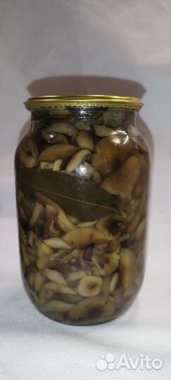Грибы маринованные