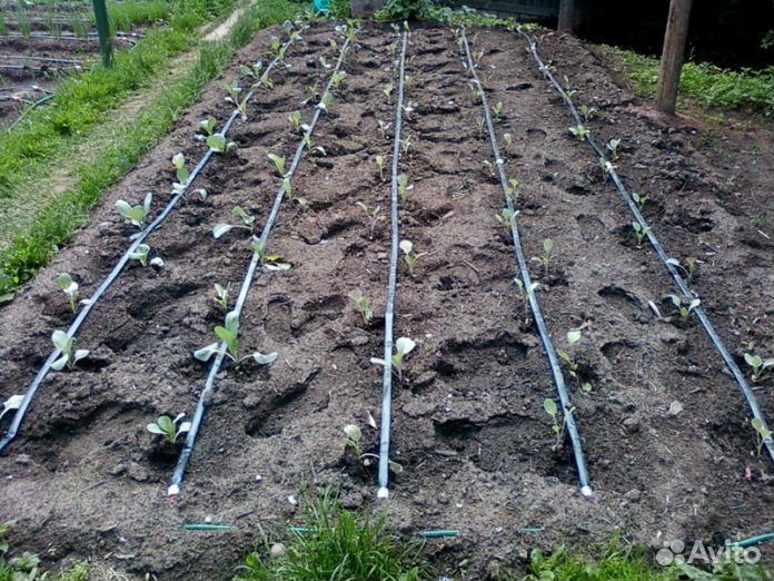 Капельный полив и комплектующие, поливные шланги