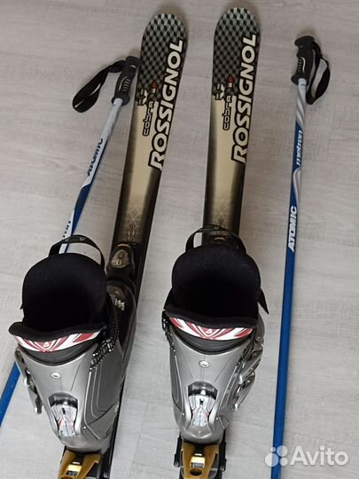 Горные лыжи