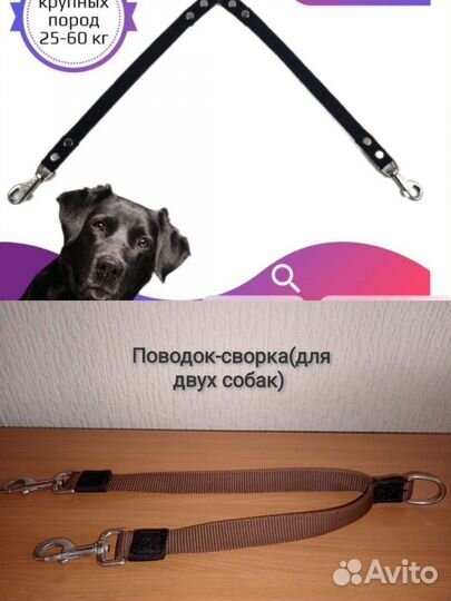 Амуниция для собак