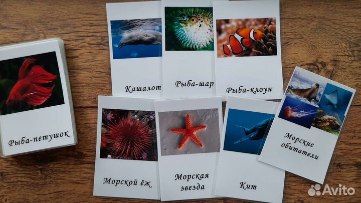 Карточки морские обитатели