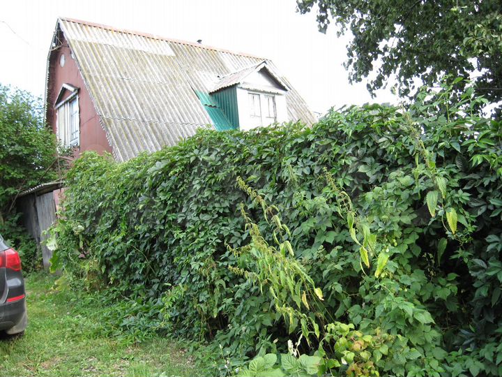 Дача 45 м² на участке 5,5 сот.