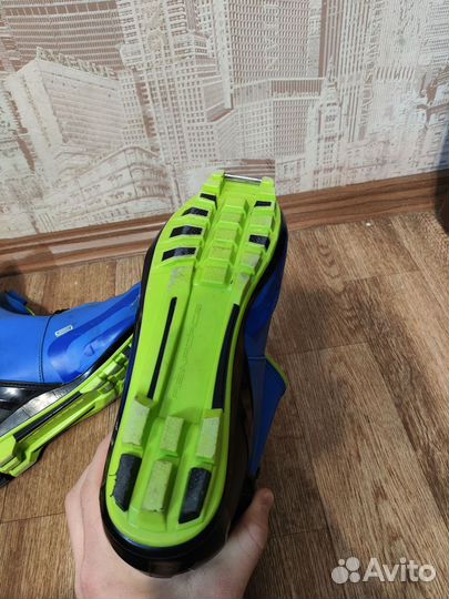 Spine concept skate pro