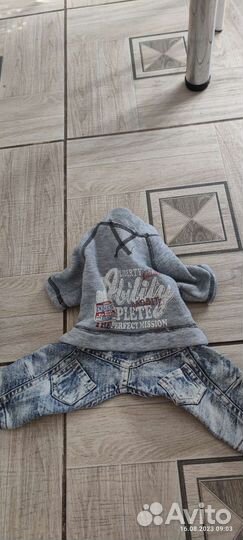 Одежда для собак пакетом