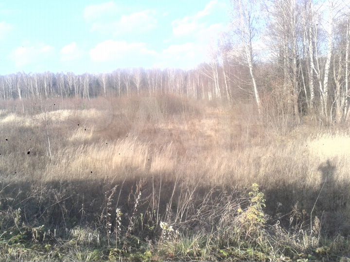Участок 30 га (СНТ, ДНП)