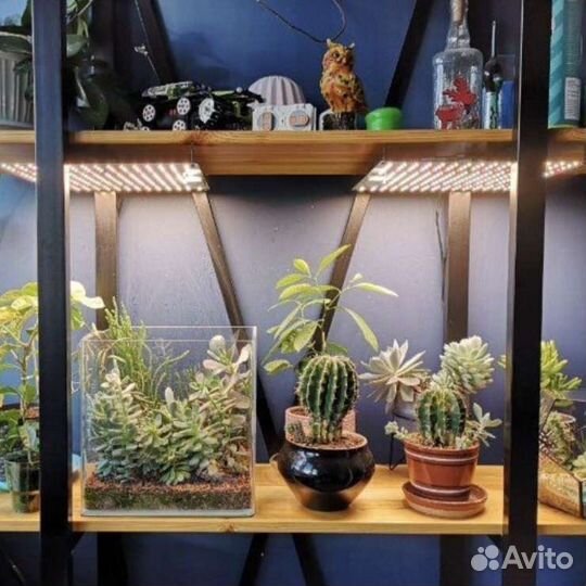 Фитолампа Quantum Board 65Вт Новые Veg/Bloom