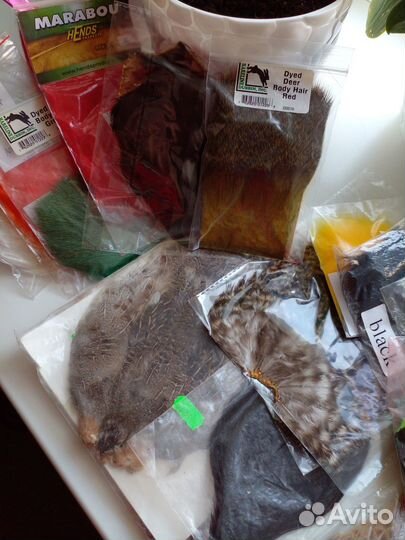 Охота и рыбалка