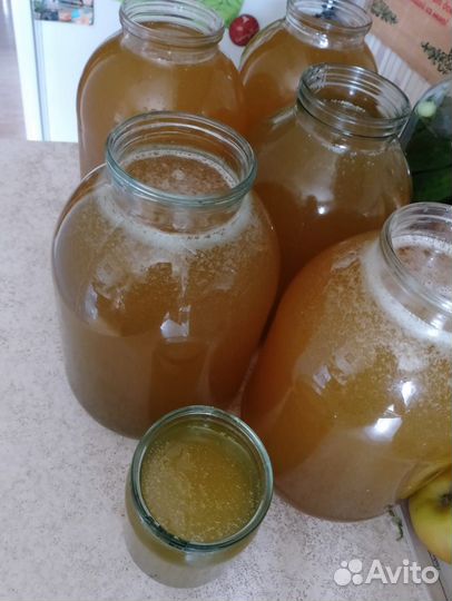 Мёд свежий сбор