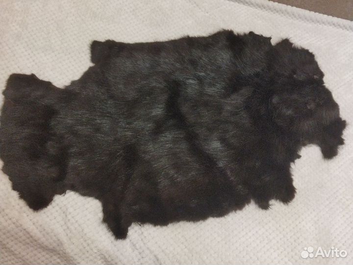 Шкура нутрии