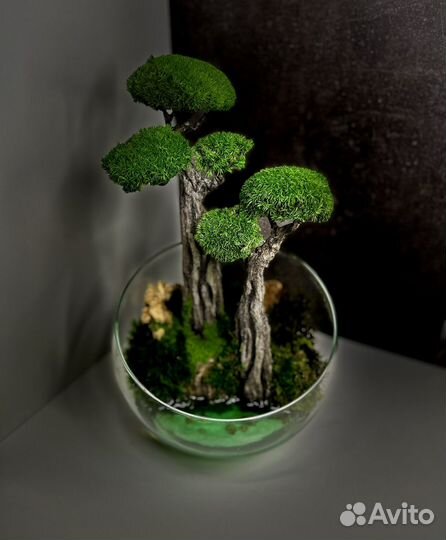 Моссариум с водоемом 