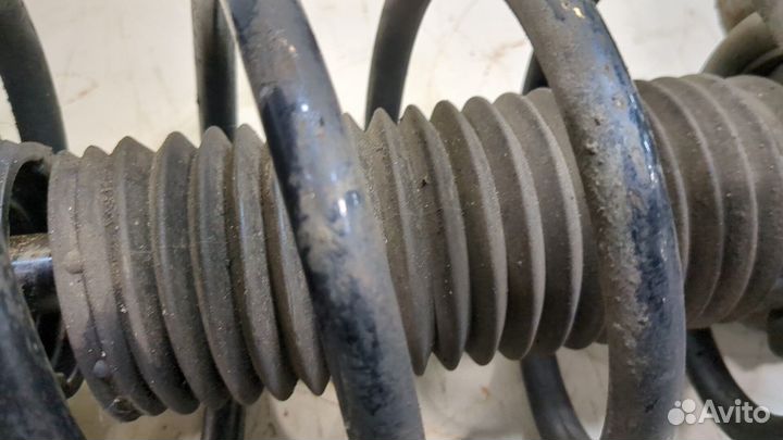 Амортизатор подвески Ford Mondeo 5 2015, 2016