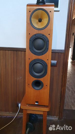 Акустика B&W. Сабвуфер Velodyne DD18. Cary Audio