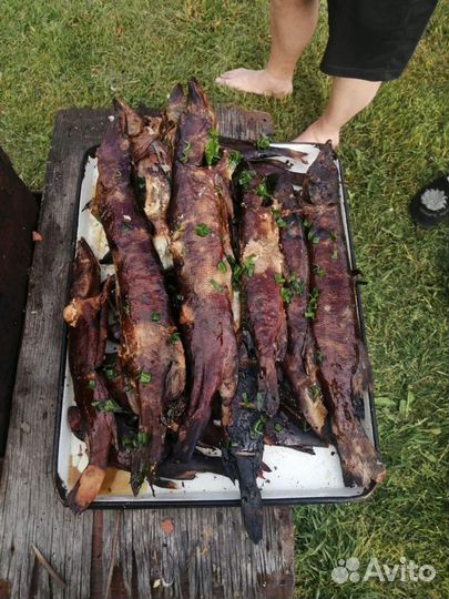 Рыбалка с гидом