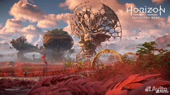 Horizon Forbidden West PS4/PS5 на Русском