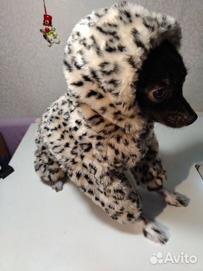 Комбенизон для собаки теплый