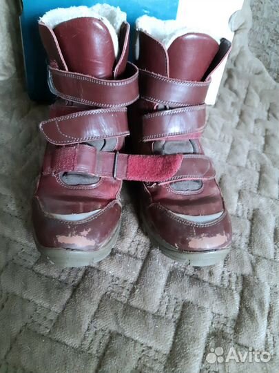 Ботинки 35р 22,5см зима Ralf Ringer натур.кожа