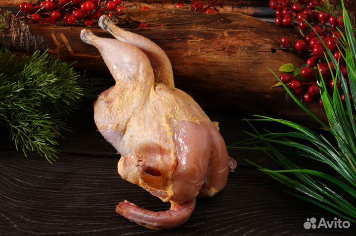 Фазан Дикий