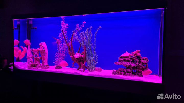 Продам аквариум 315 литров
