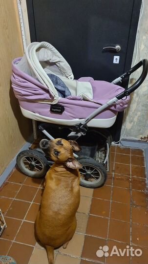 Коляска-люлька Peg-Perego Culla auto malva