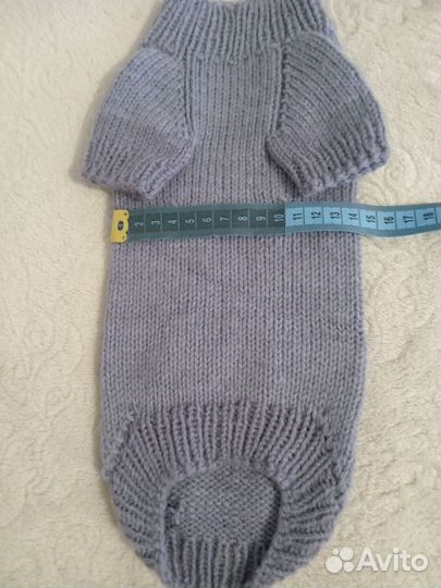 Одежда для собак