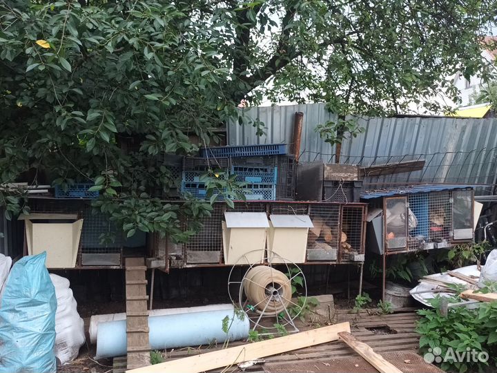 Клетка для домашнего кролика