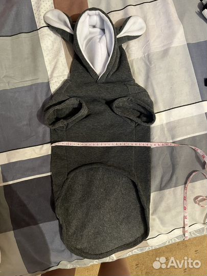 Костюм для собаки