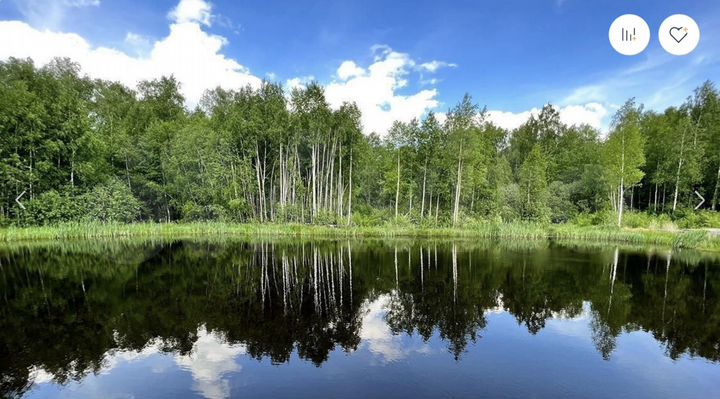 Участок 12 сот. (СНТ, ДНП)