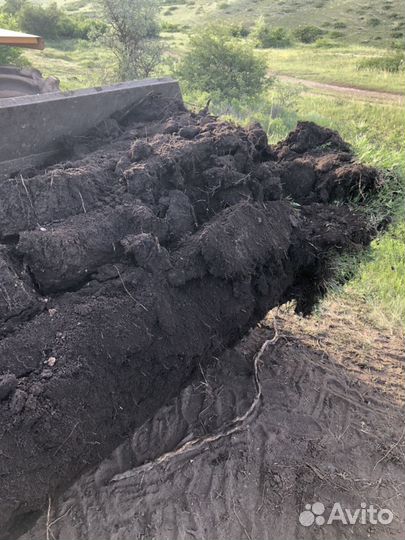 Чернозём, перегной, Навоз